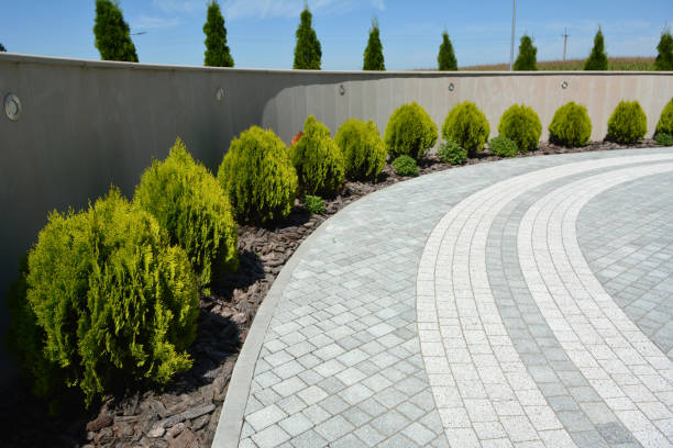Trusted Roselle, IL Driveway Pavers Experts